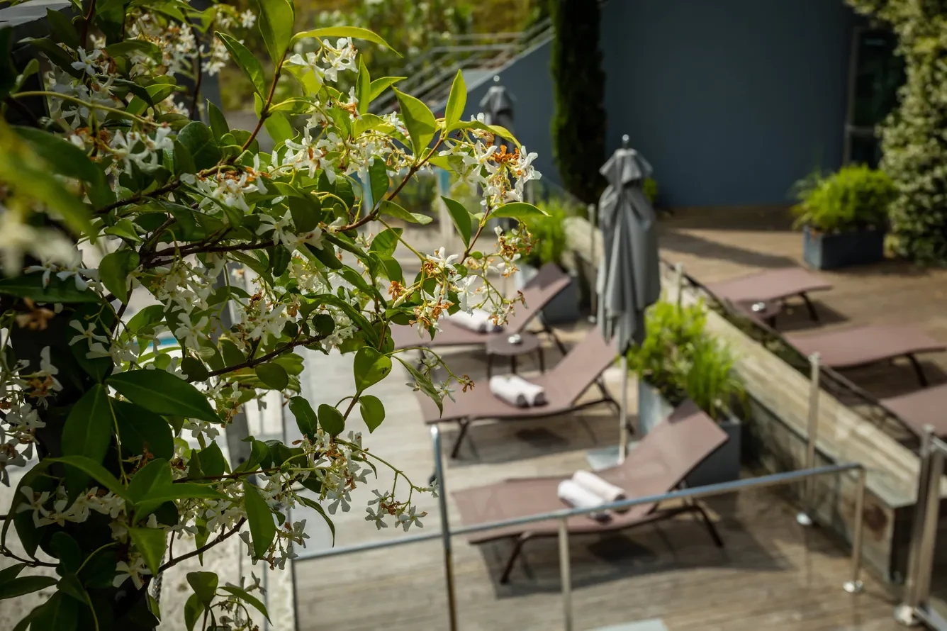 Terrasse paysagée d’un hôtel Marriott
